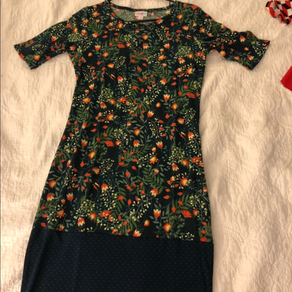 Lularoe Julia dress